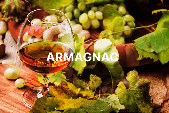 BANNIERE BLOG ARMAGNAC