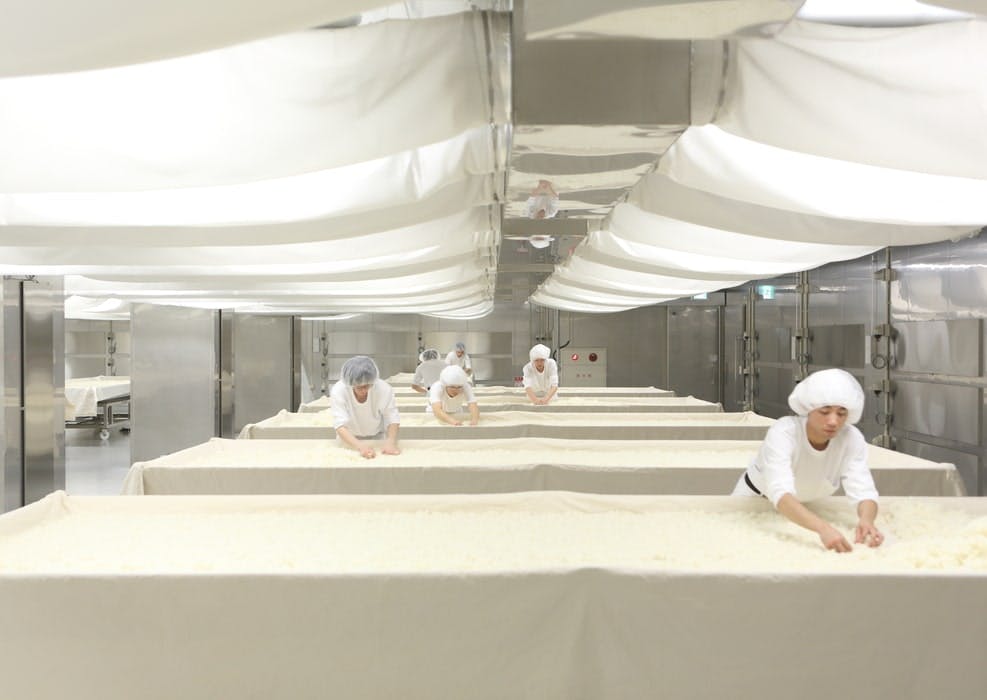 processus koji Dassai