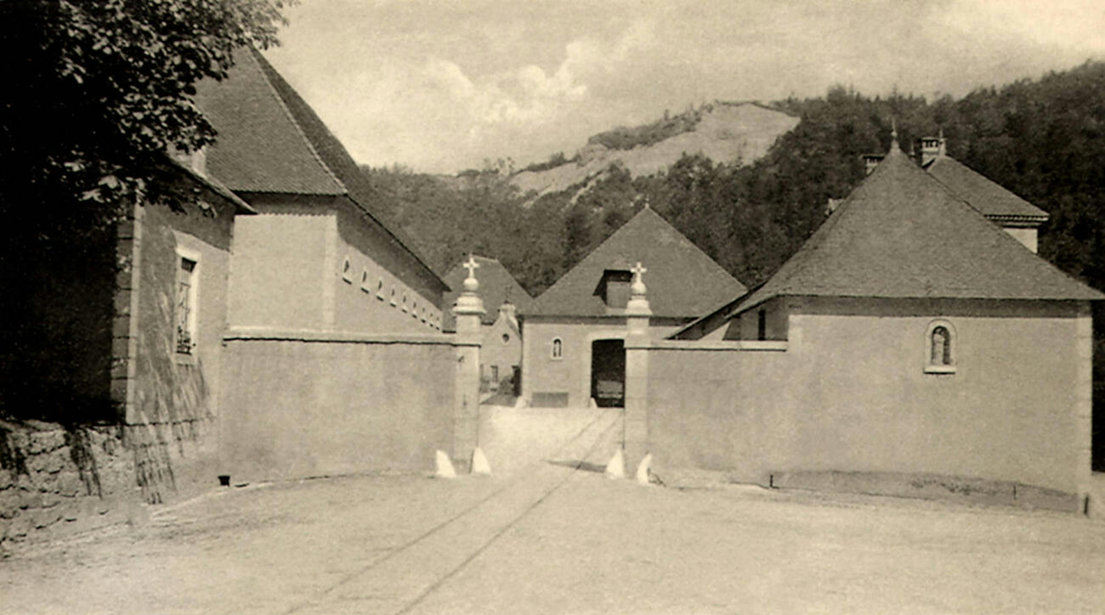 photo origine chartreuse