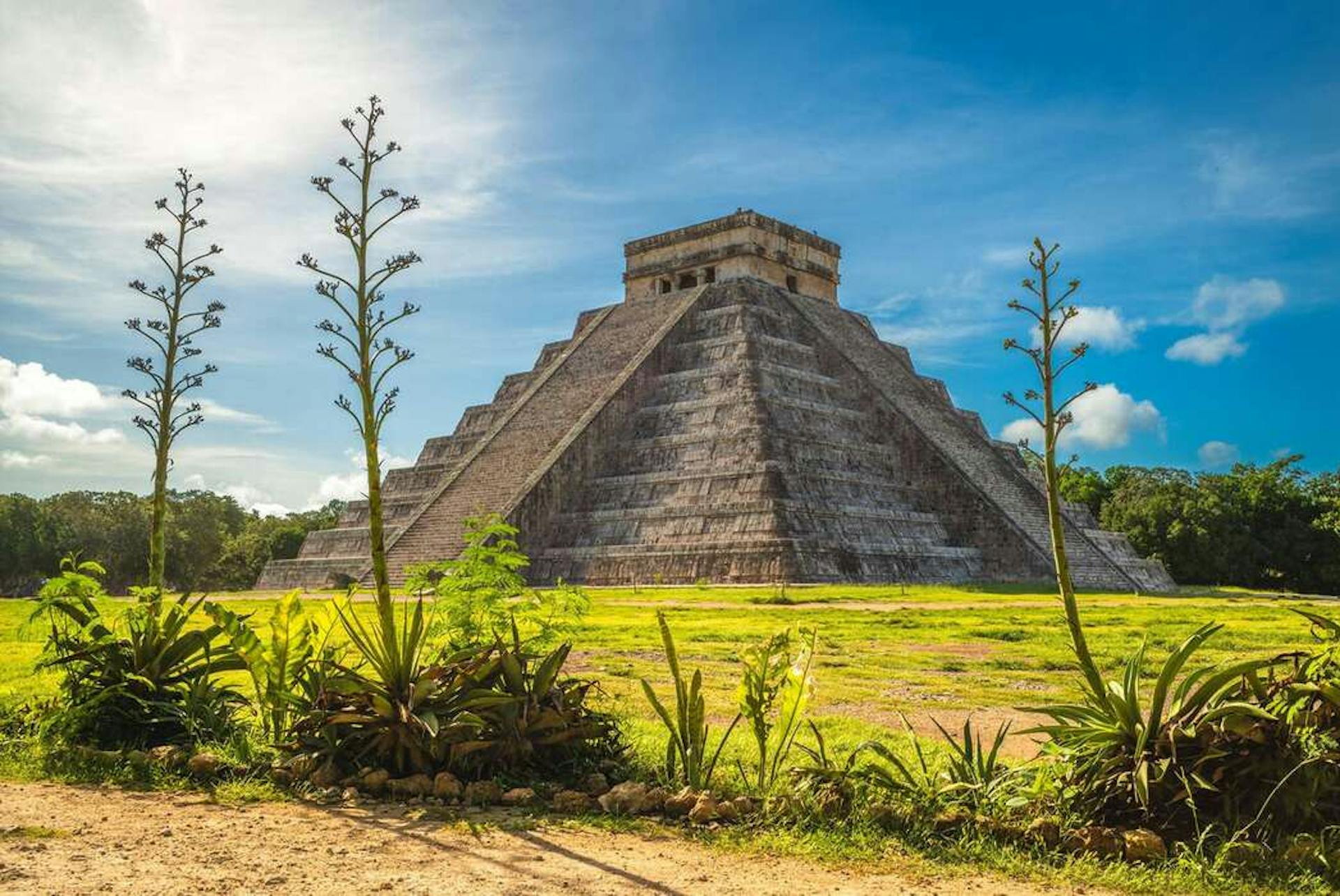 origine tequila et mezcal
