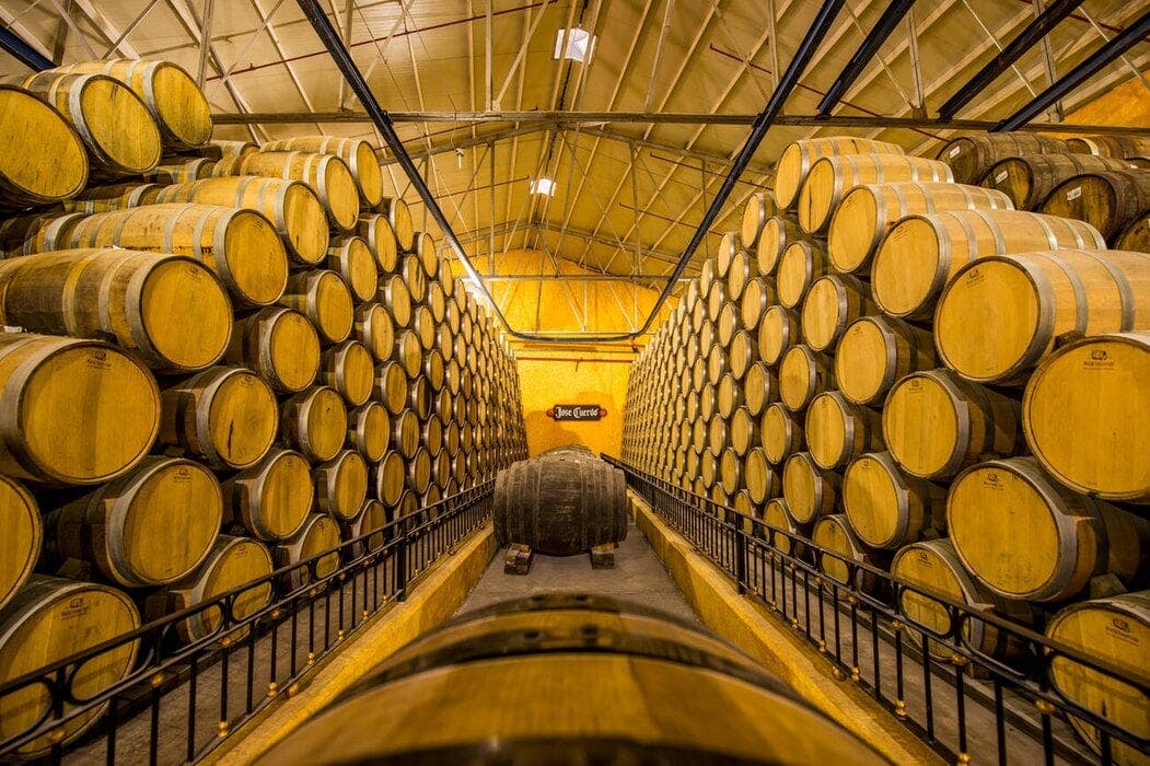 Production tequila