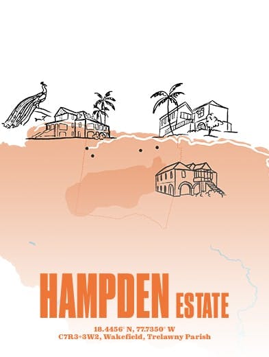 BG_LANDINGPAGE_mobile_HAMPDEN