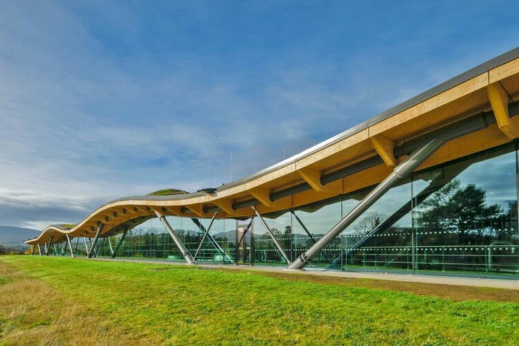 distillerie Macallan