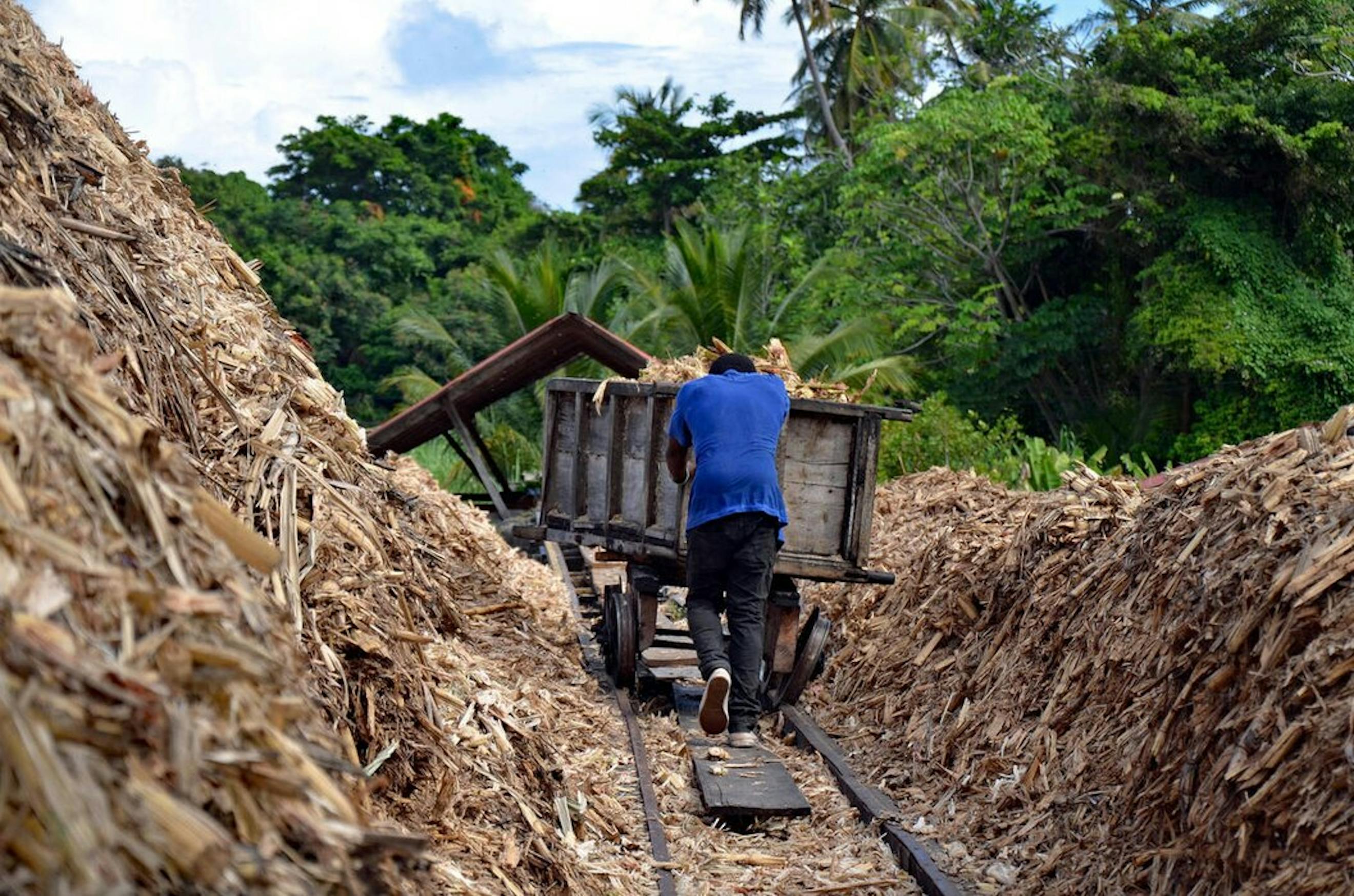 transport canne à sucre colombie