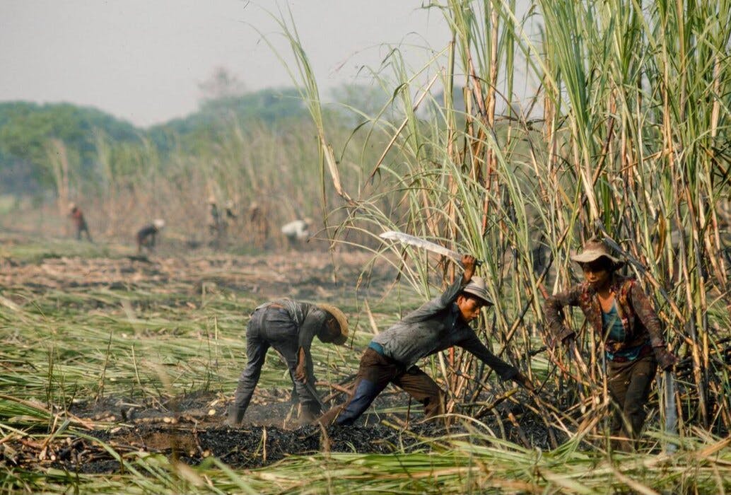 histoire rhum amerique du sud