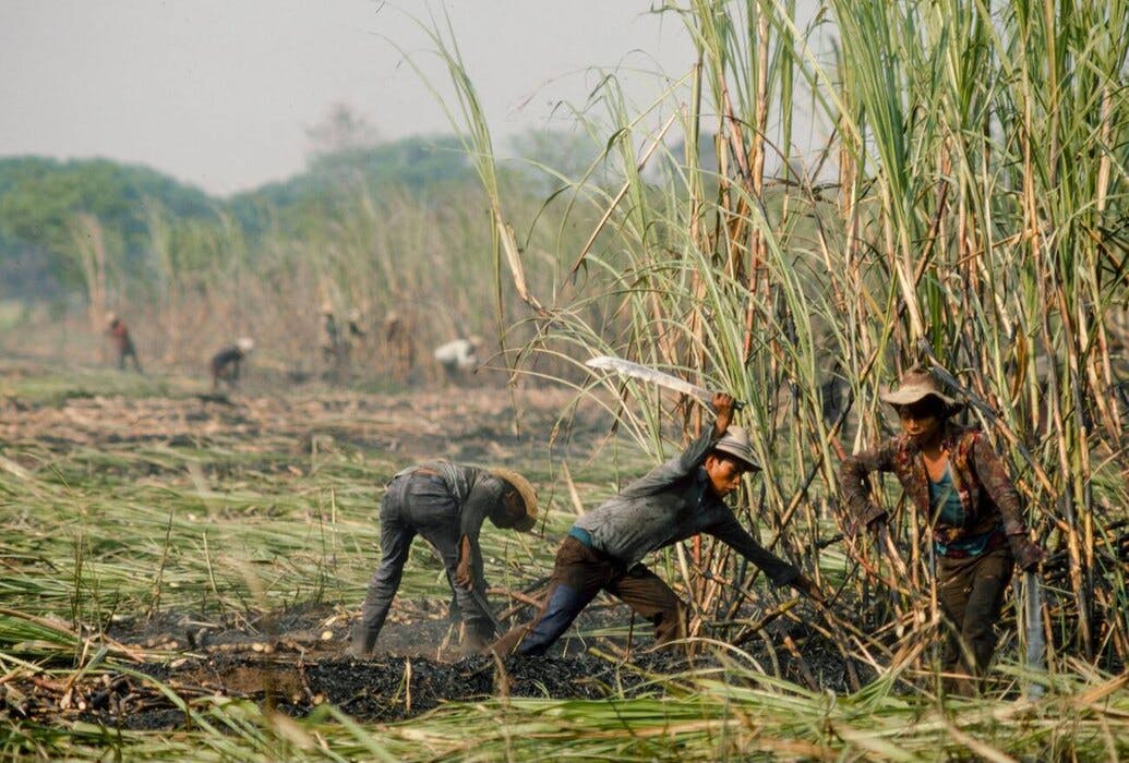 histoire rhum amerique du sud