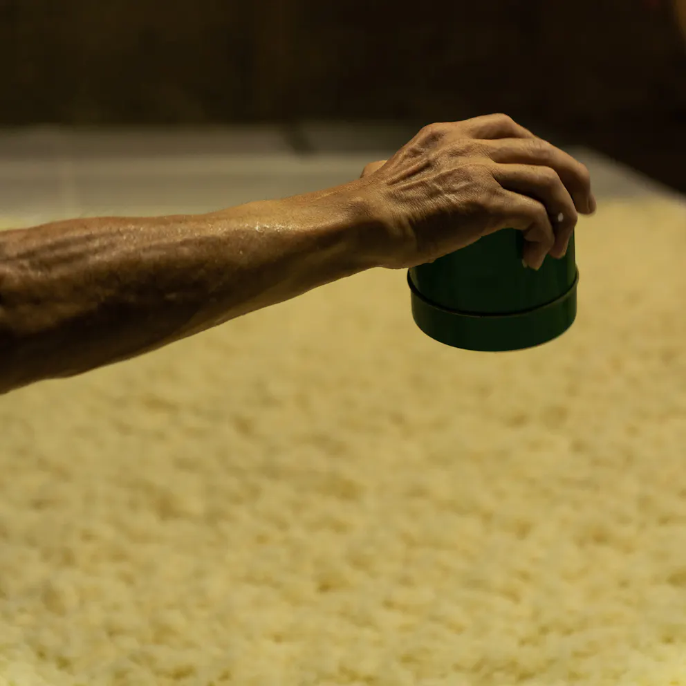 Fabrication du saké