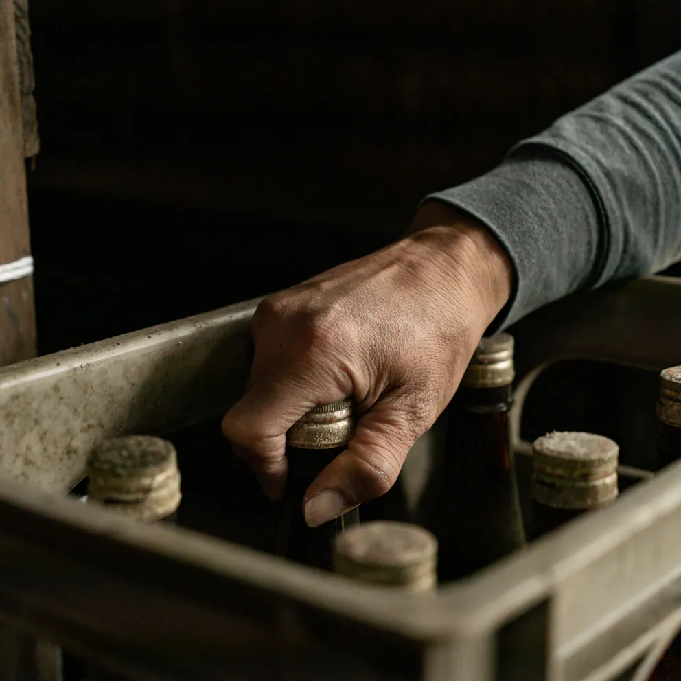 Bouteilles de saké disposées dans une caisse en bois