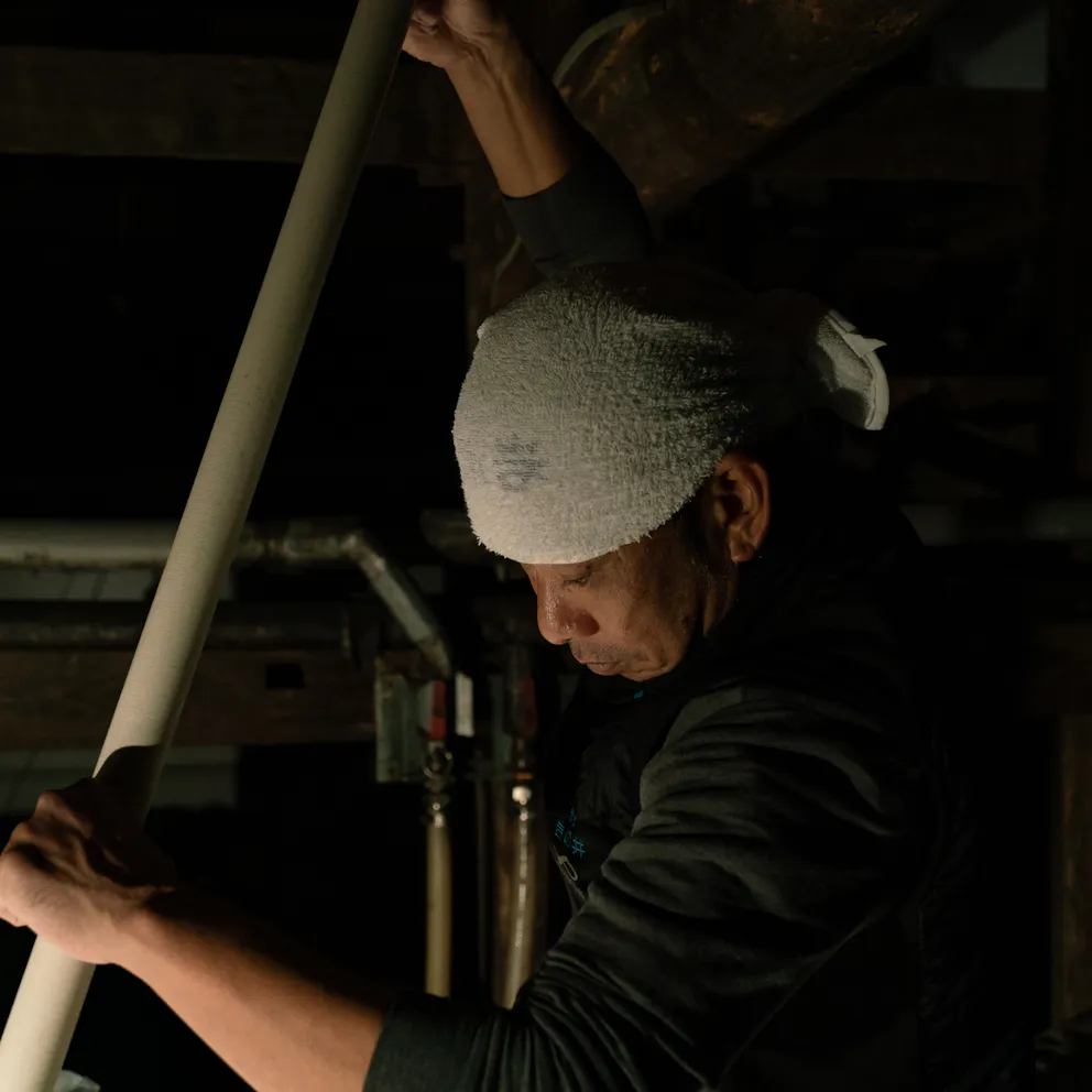 Travail en brasserie de saké