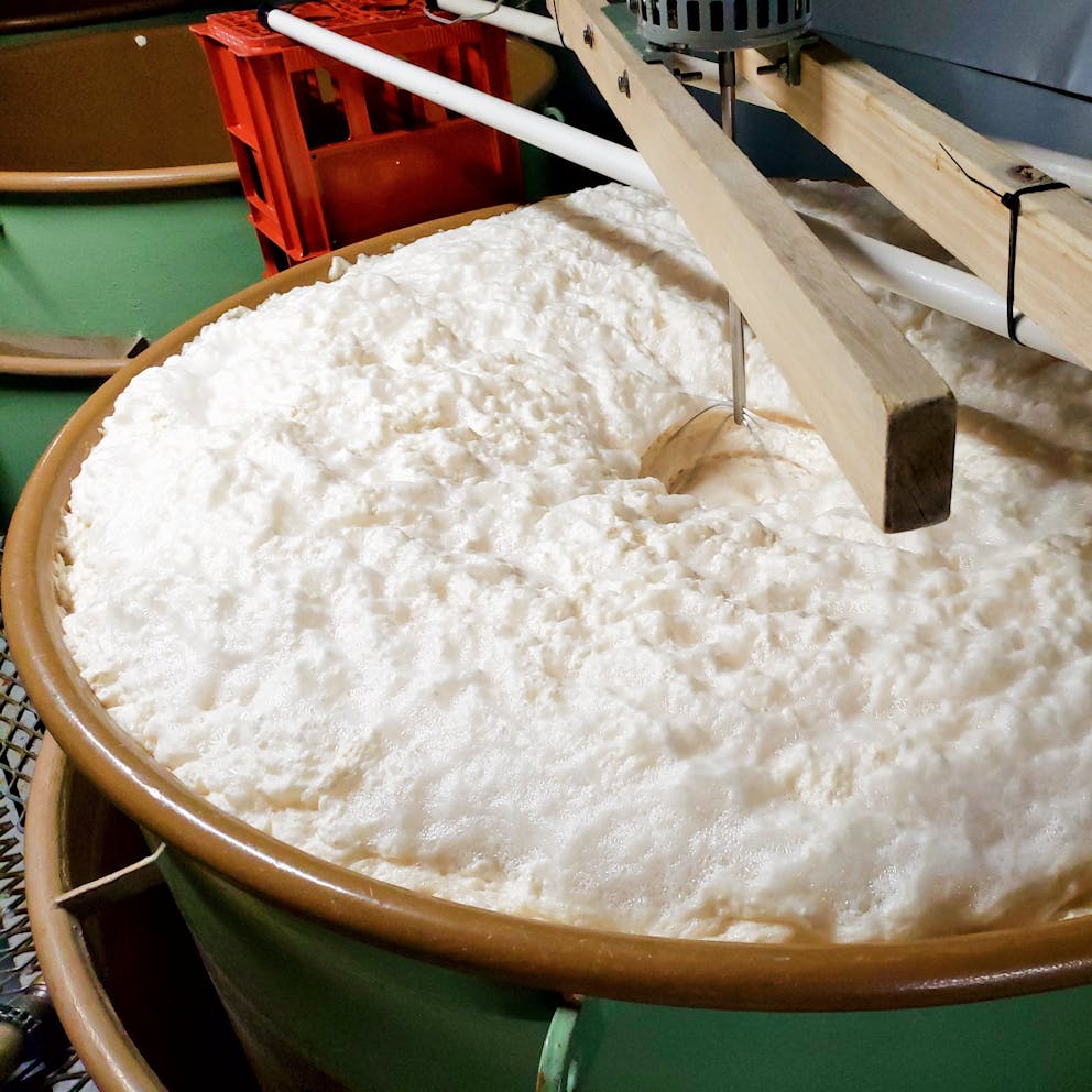 fermentation naturelle