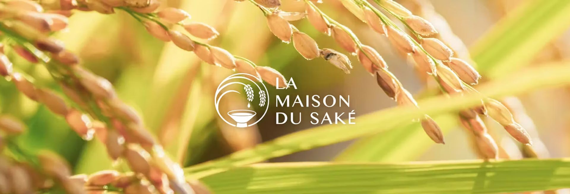 Logo La Maison du Saké sur fond d'épi de riz