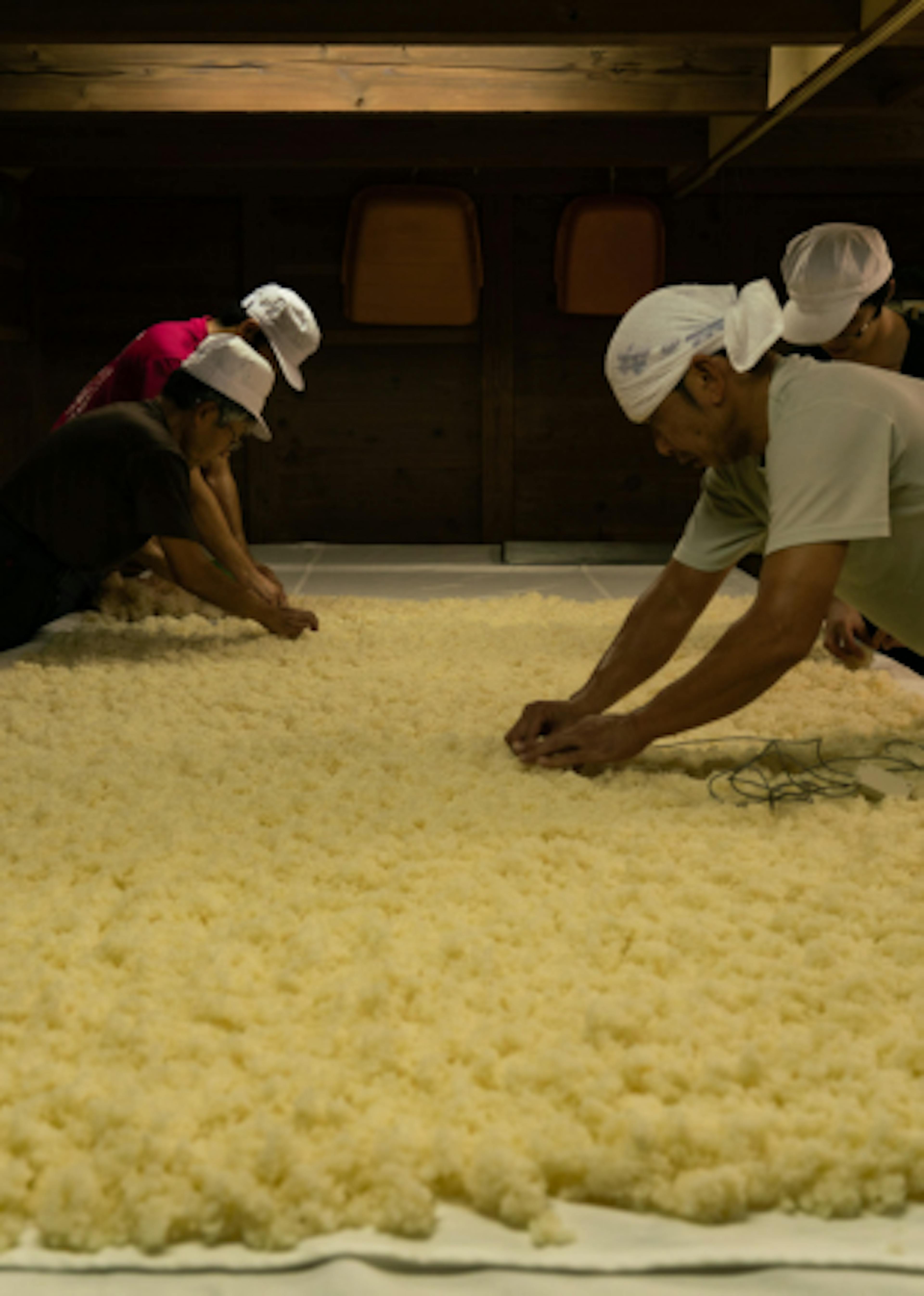 fabrication du saké