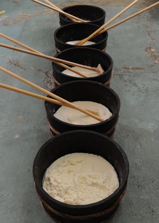 fabrication du saké