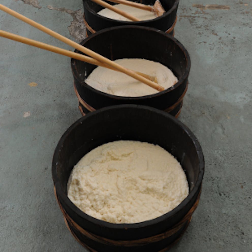 Fabrication du saké