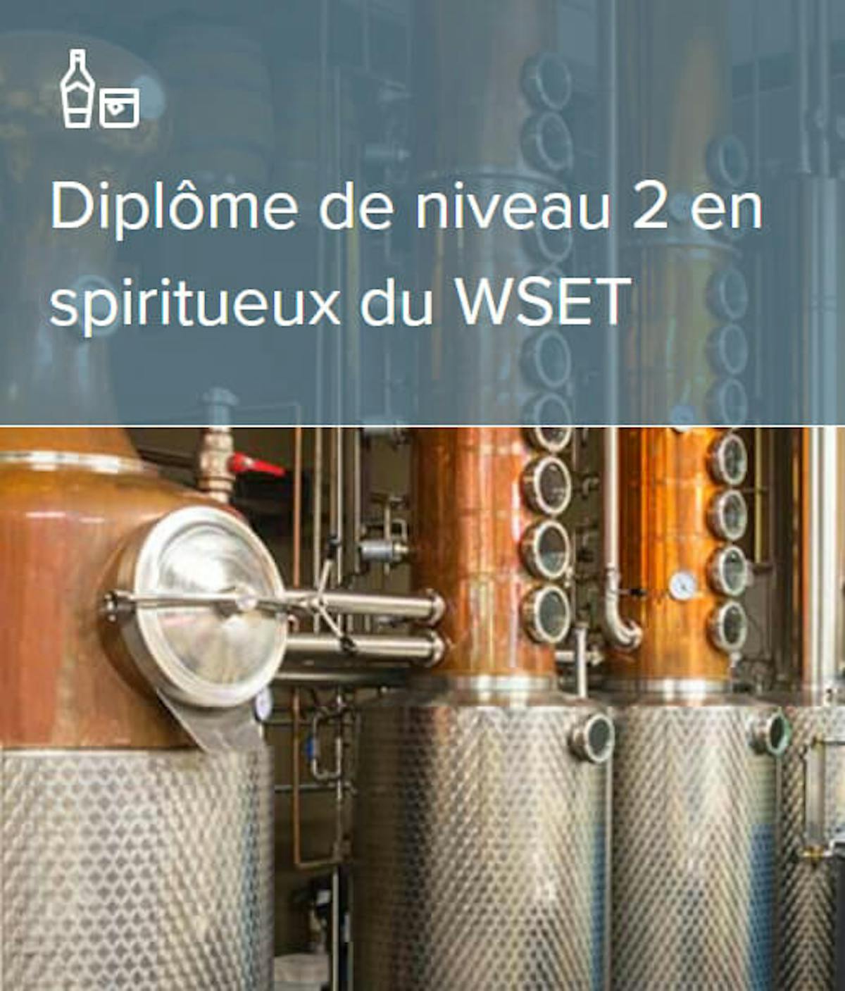 WSET spirits niveau 2