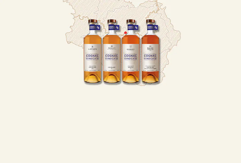 Cognac Syndicate
