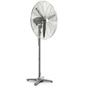 Tall Fan 