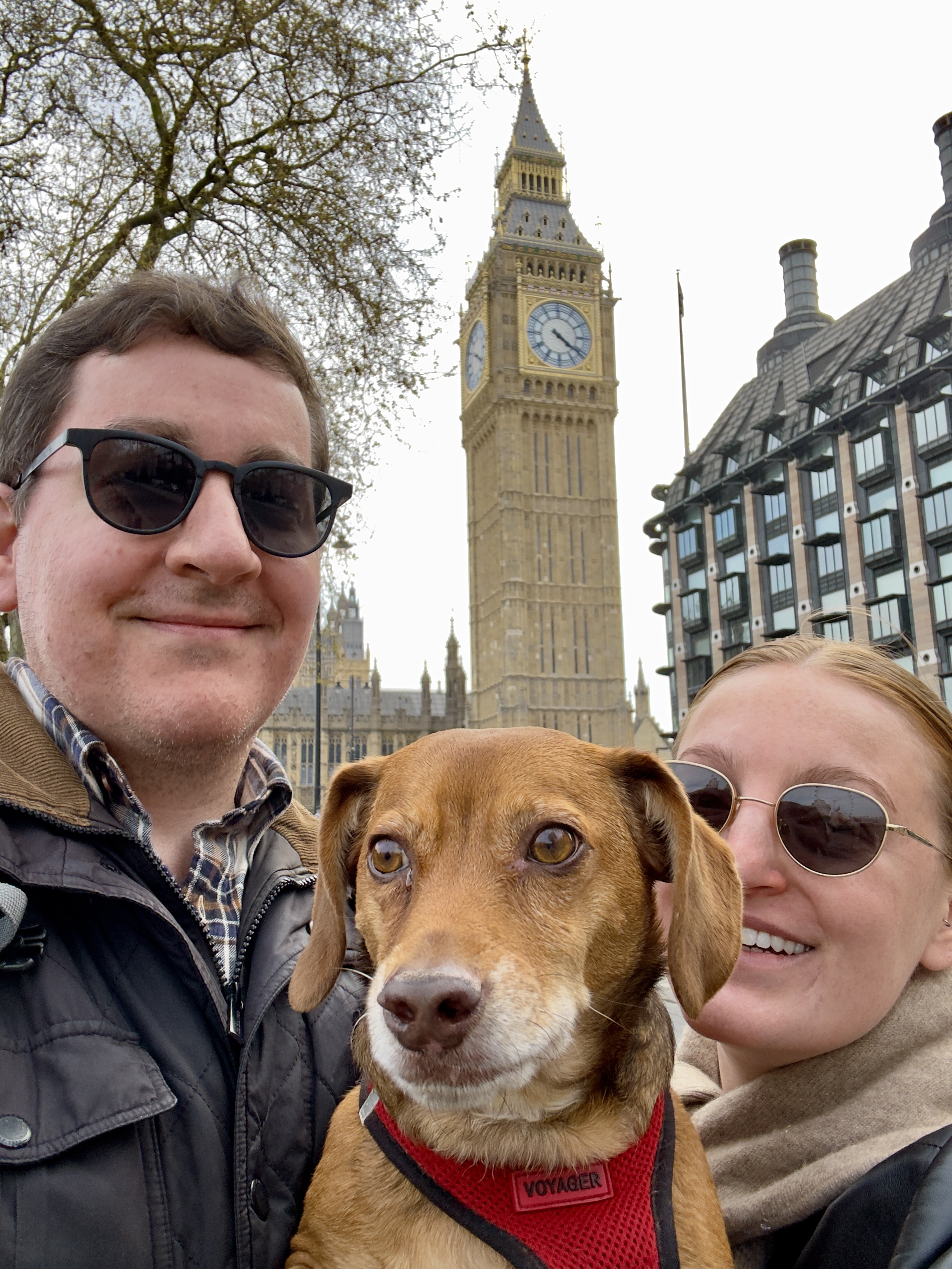 How to Coordinate Pet Care Between Family Members (Without the Chaos)