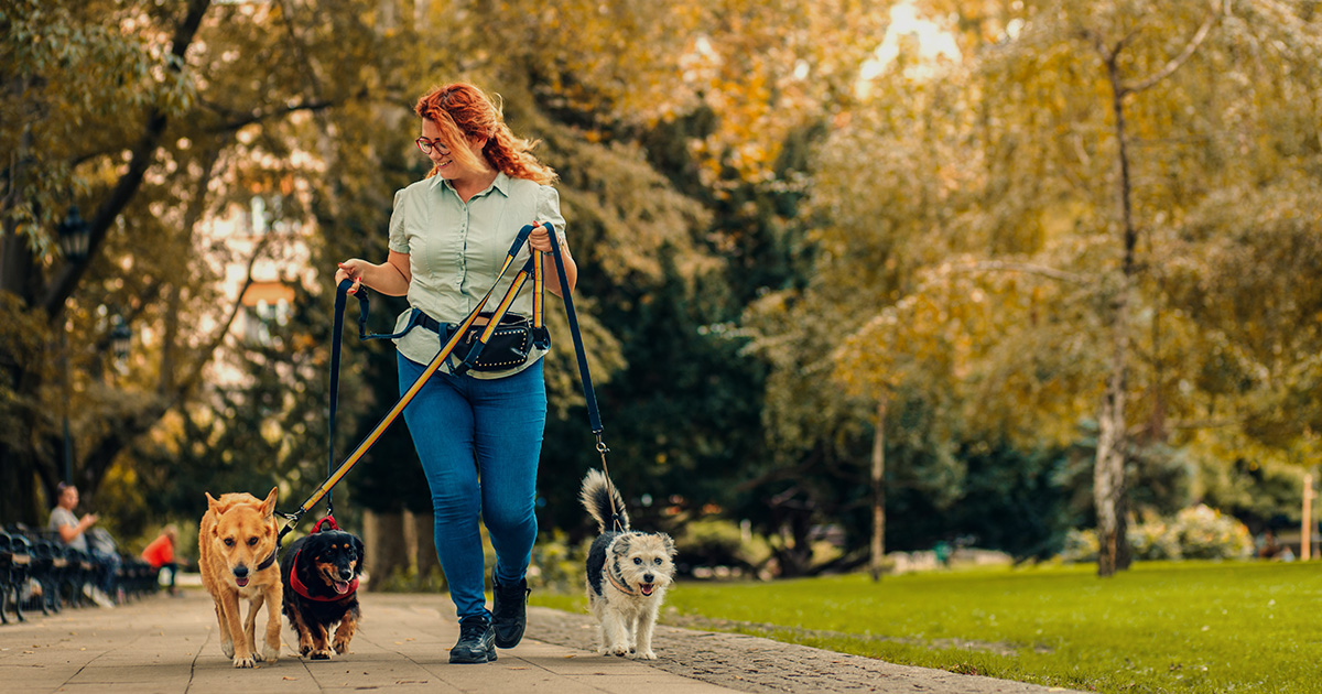 How to Know Your Dog Walker Actually Showed Up (And Did Everything They Said They Would)