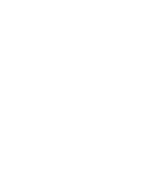 Bold Realities