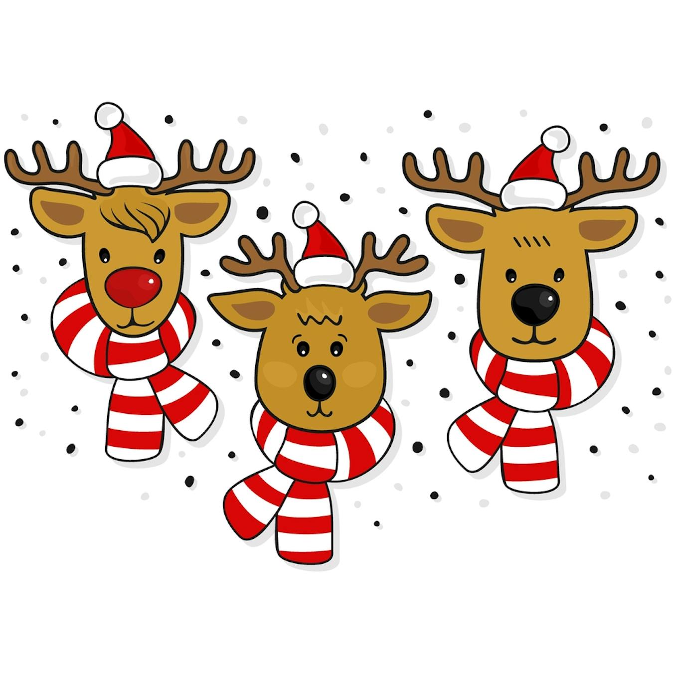 How do santa s reindeer fly 