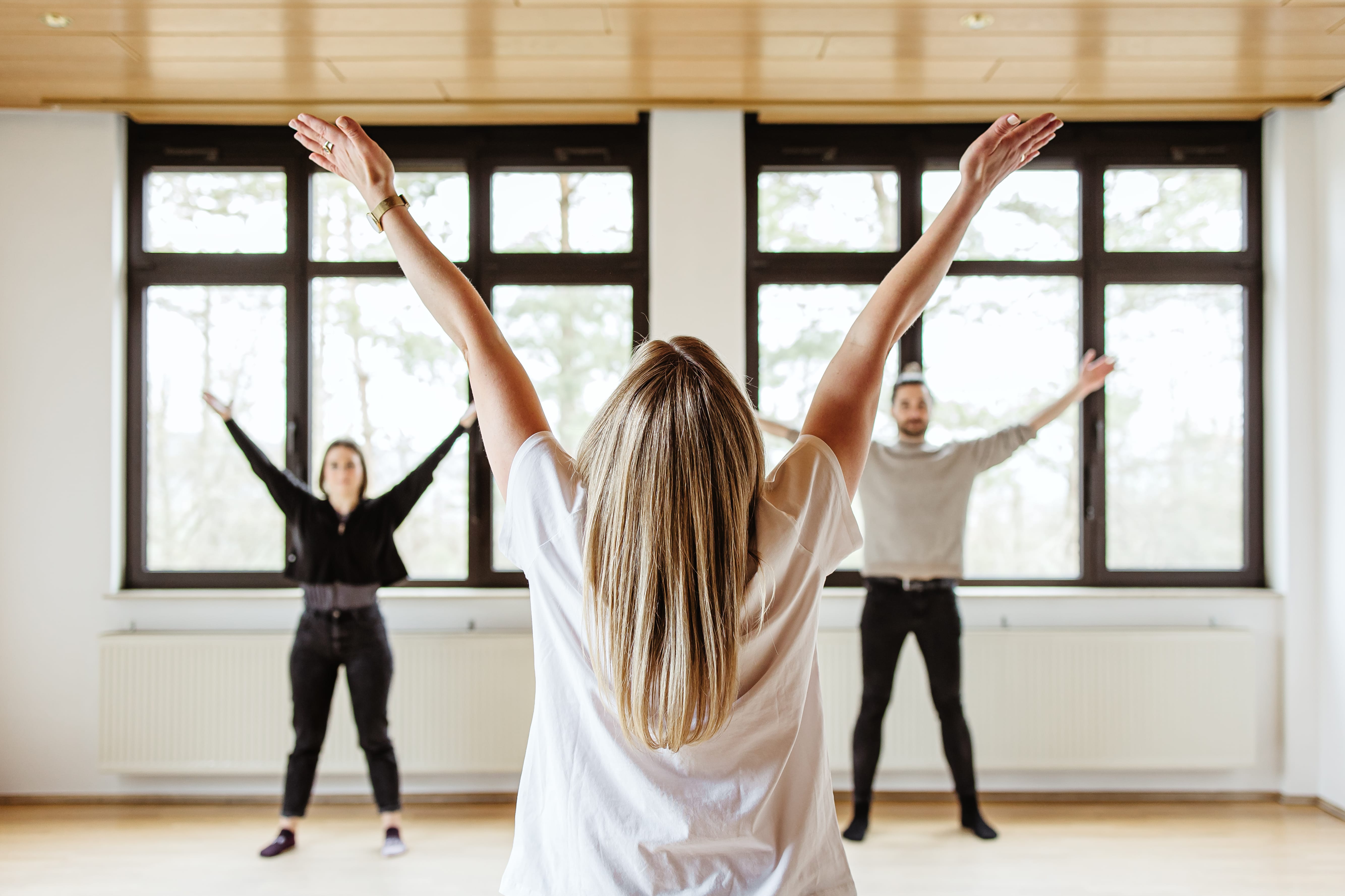 Hardtwaldklinik II - Therapie