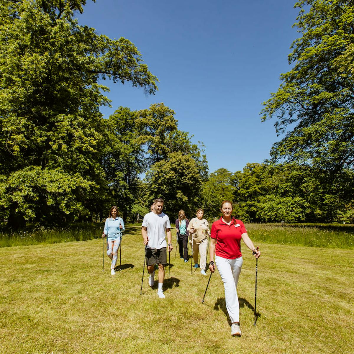 Bad Homburg Nordic Walking