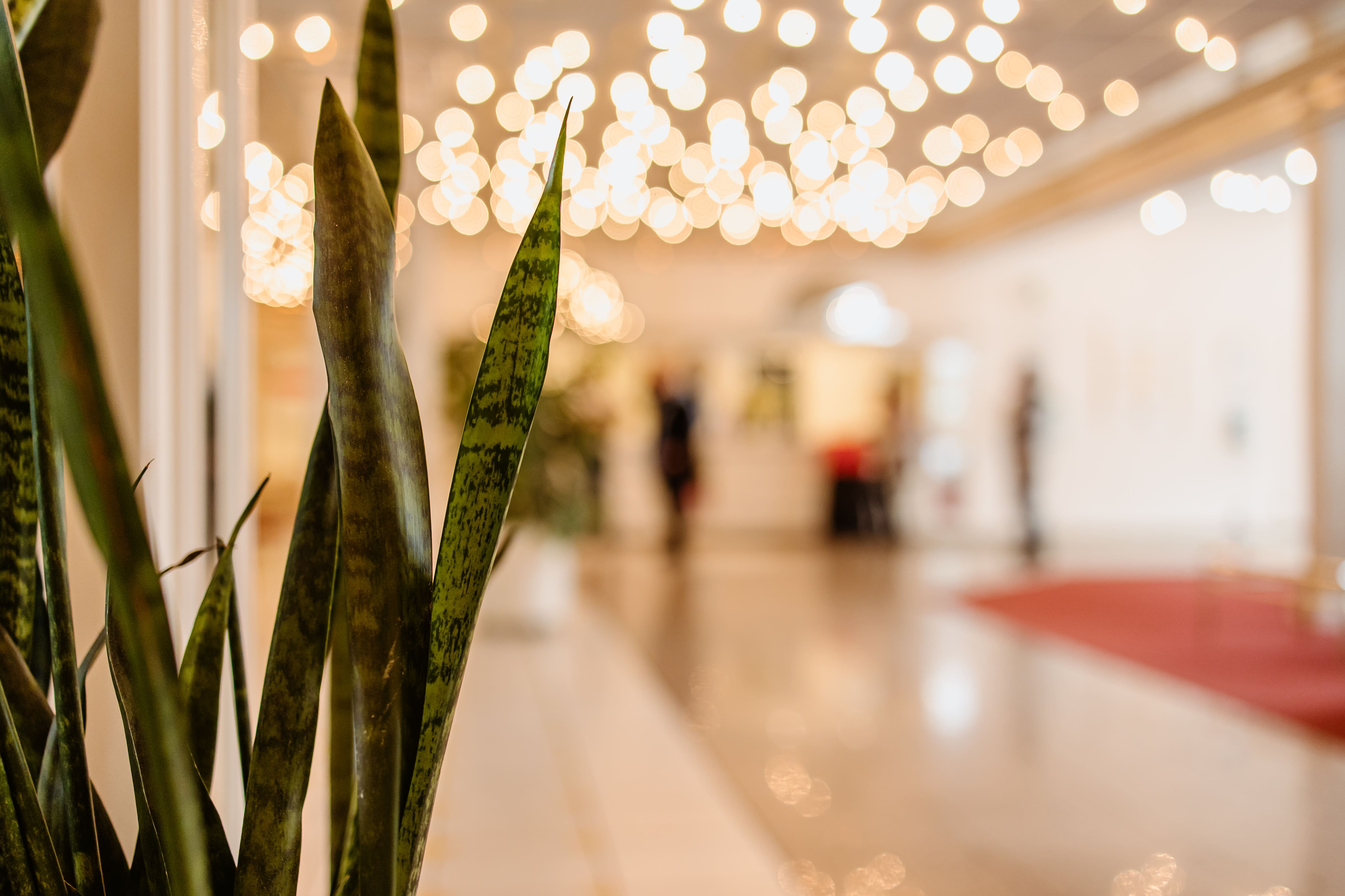 Klinik Am Osterbach Kontakt Tinnitus