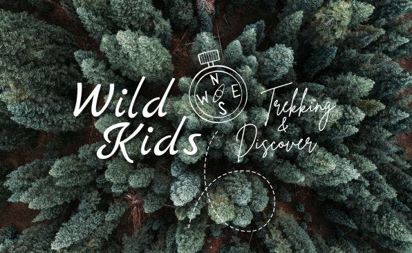 Immagine di copertina dell'evento Wild Kids - La vita segreta degli alberi