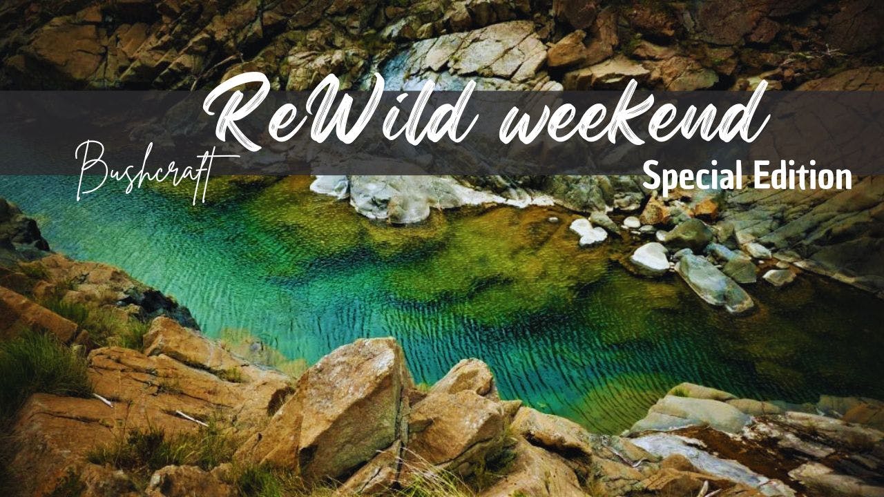 Immagine di copertina dell'evento ReWild weekend - Special Edition
