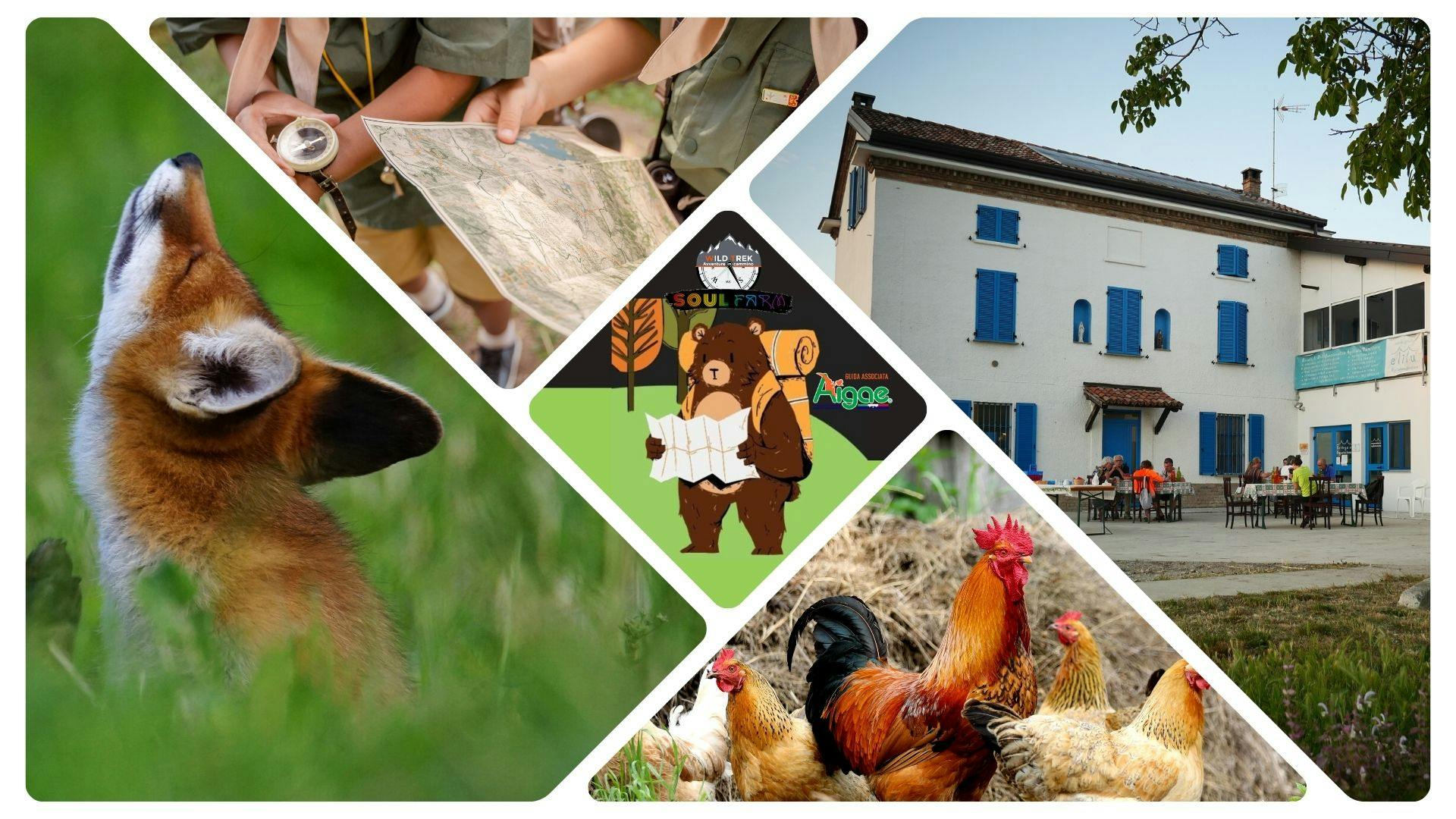 Immagine di copertina dell'evento I sabati di Adventure Farm