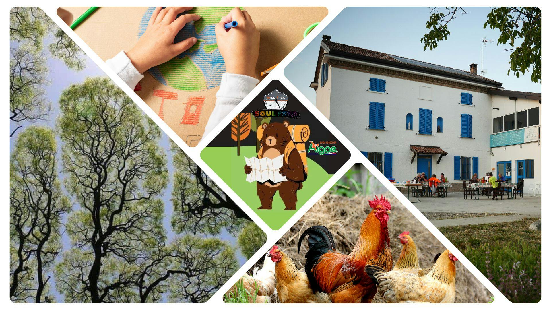 Immagine di copertina dell'evento Adventure Farm - Naturalist Week