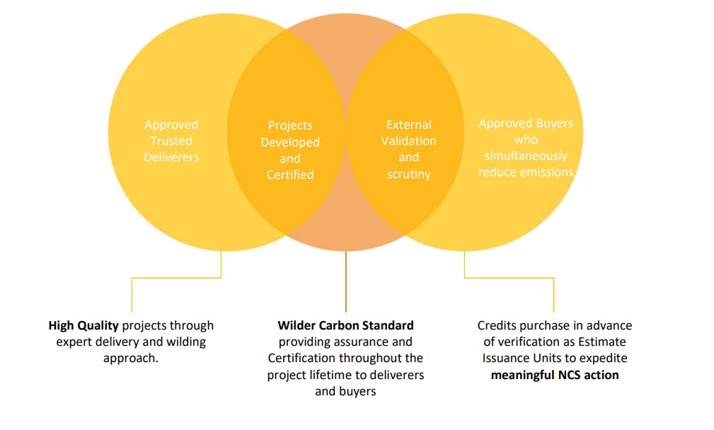 Approved Projets Infographic