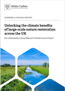 Wilder Carbon Summary & Findings report