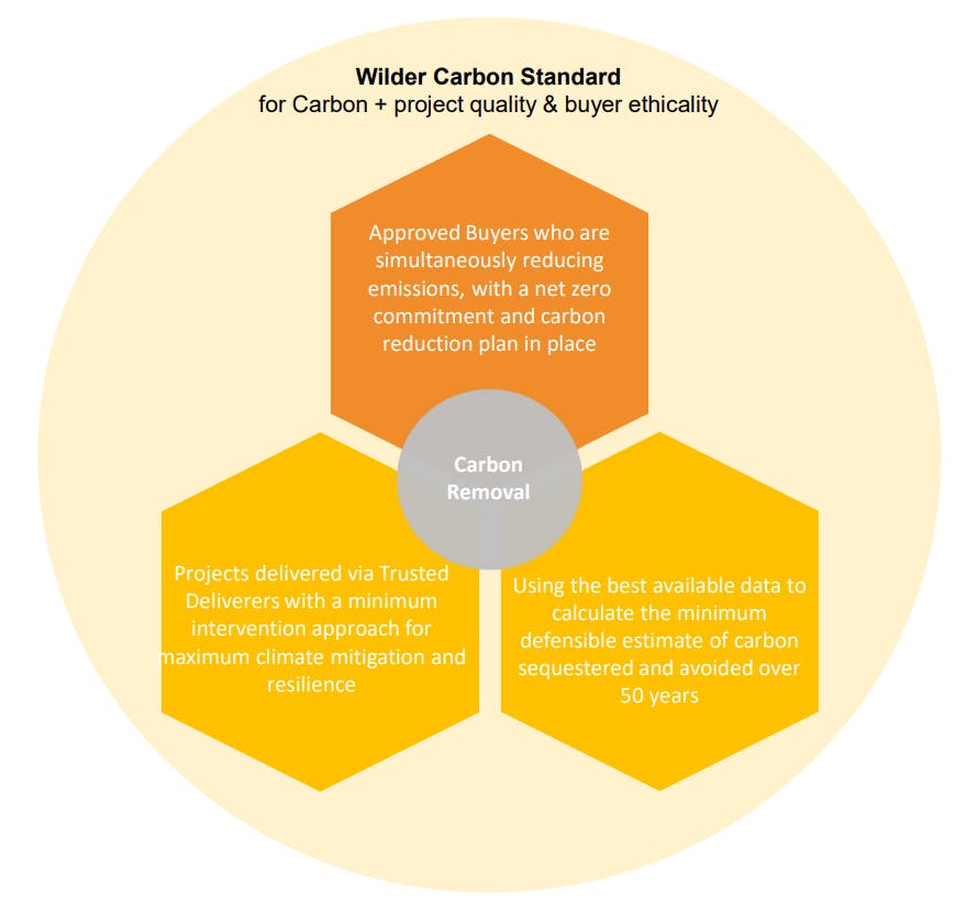 Wilder Carbon Standard Infographic