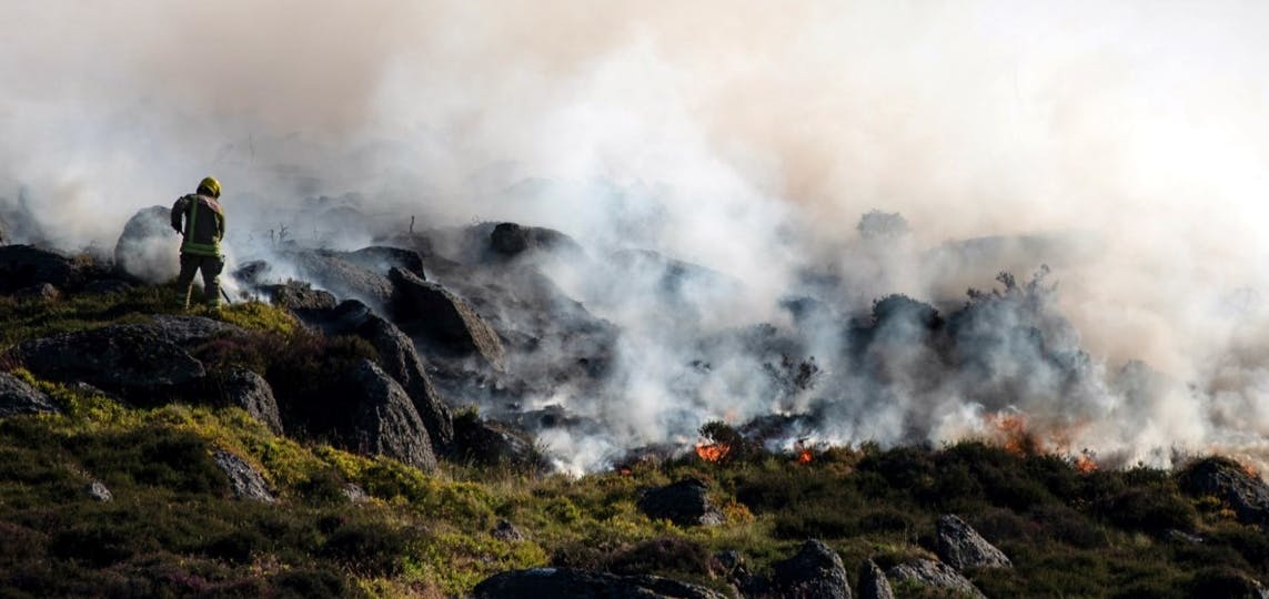 Fire fighter standing on burning hillside