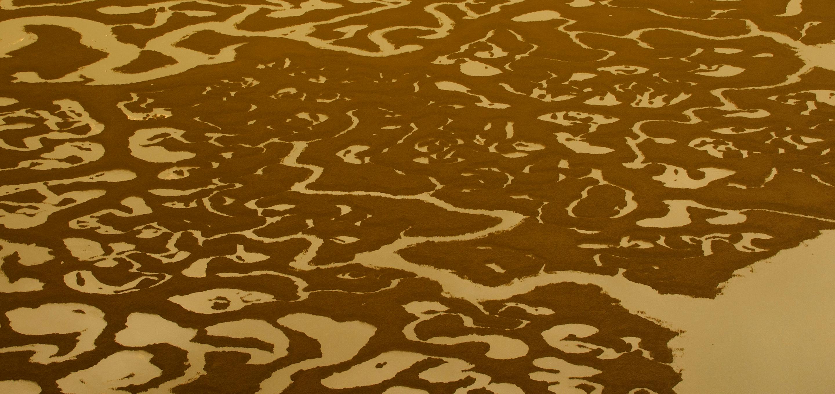 Saltmarsh