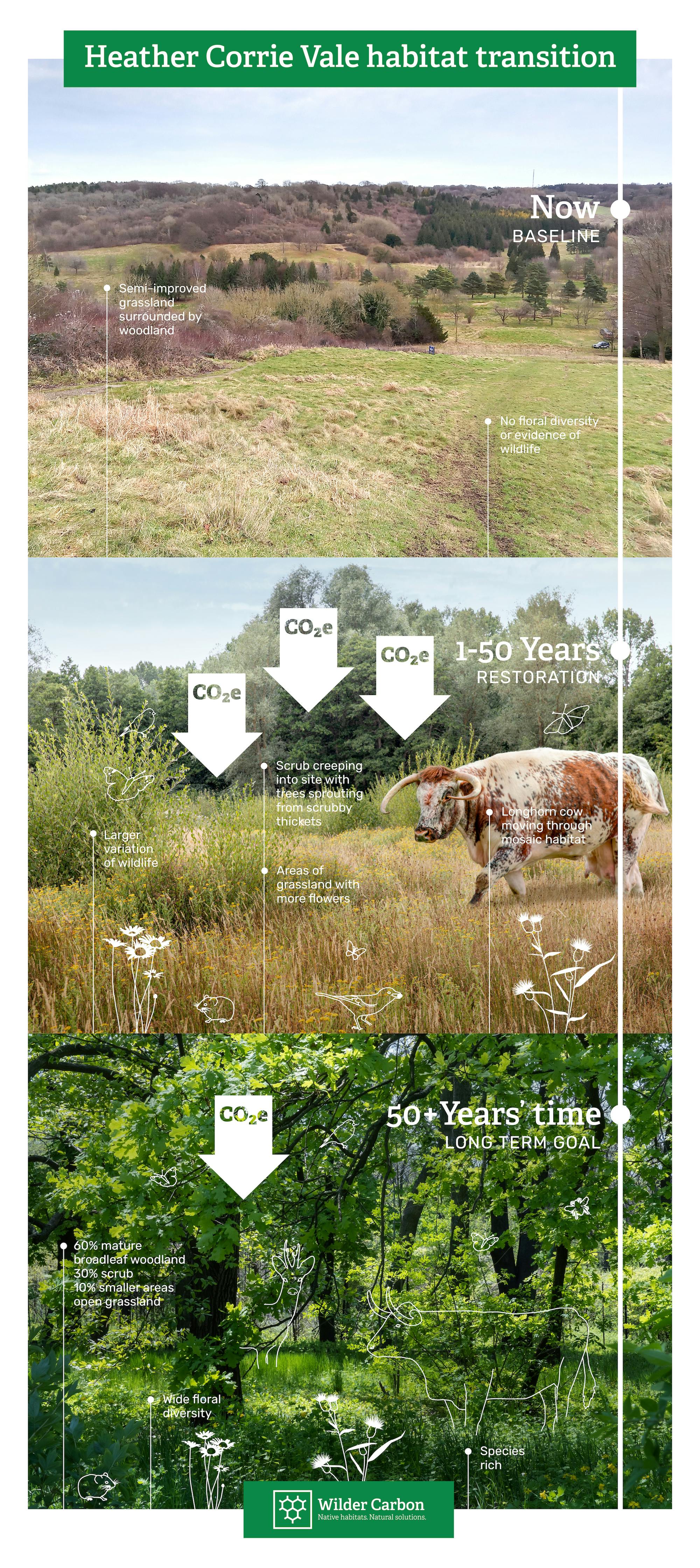 Heather Corrie Vale habitat transition