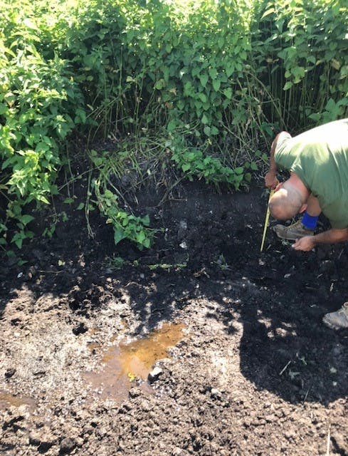 An individual inspecting soil depth