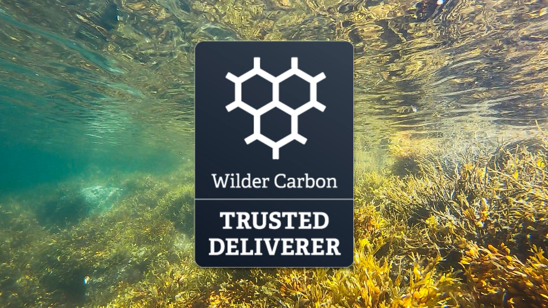 Wilder Carbon trusted deliverer badge
