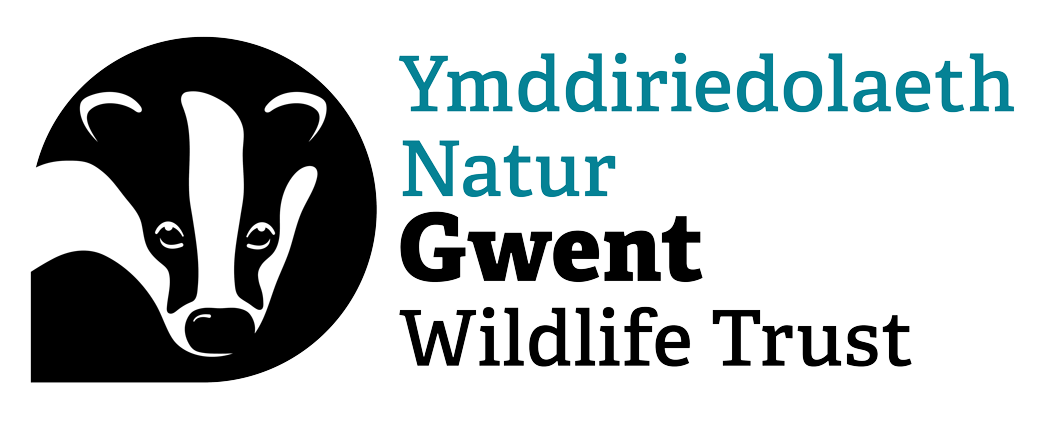 Gwent wildlife trust logo