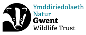 Gwent wildlife trust logo