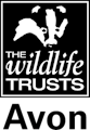 Avon Wildlife Trust Logo