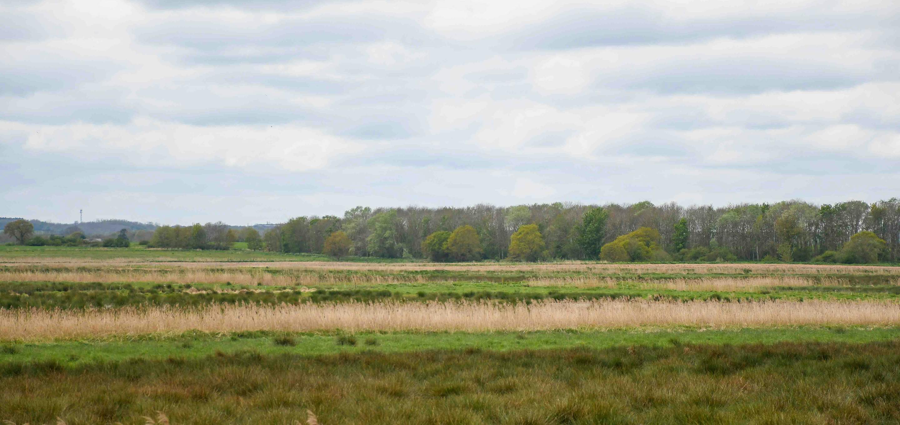 Great Fen