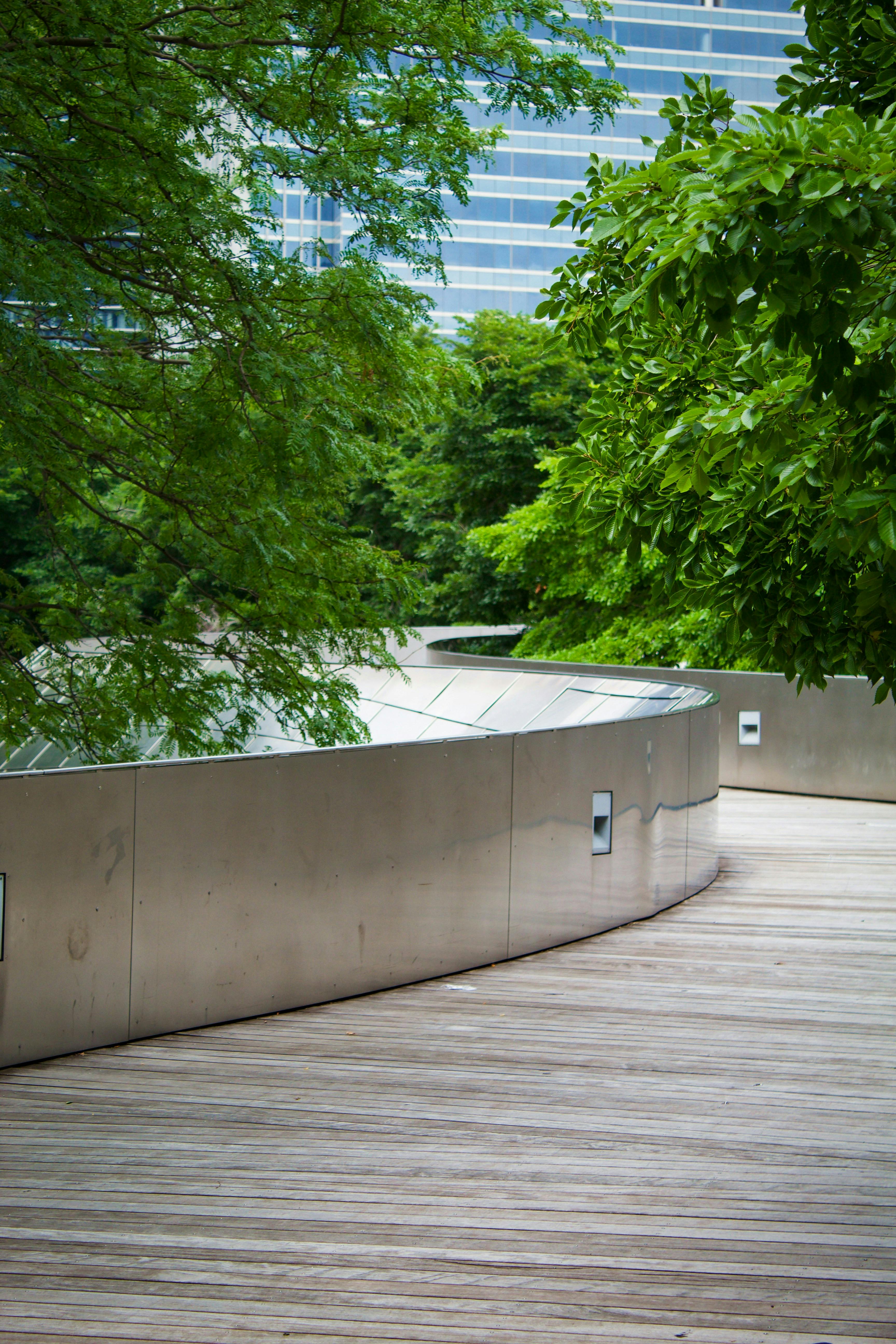 Winding city path amongst vegetation by Clay Lindner