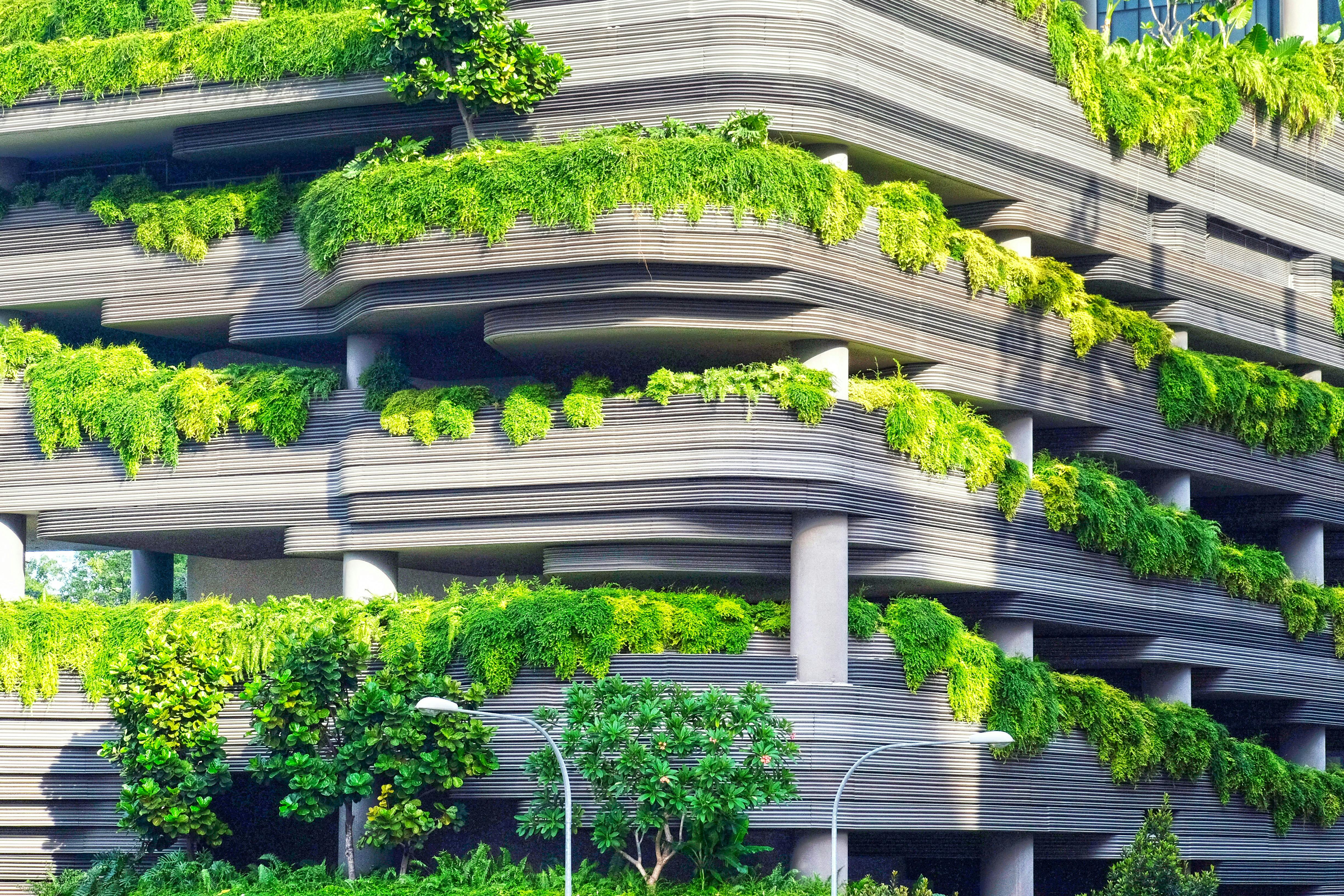 green vegetation over building balconies by Danist Soh