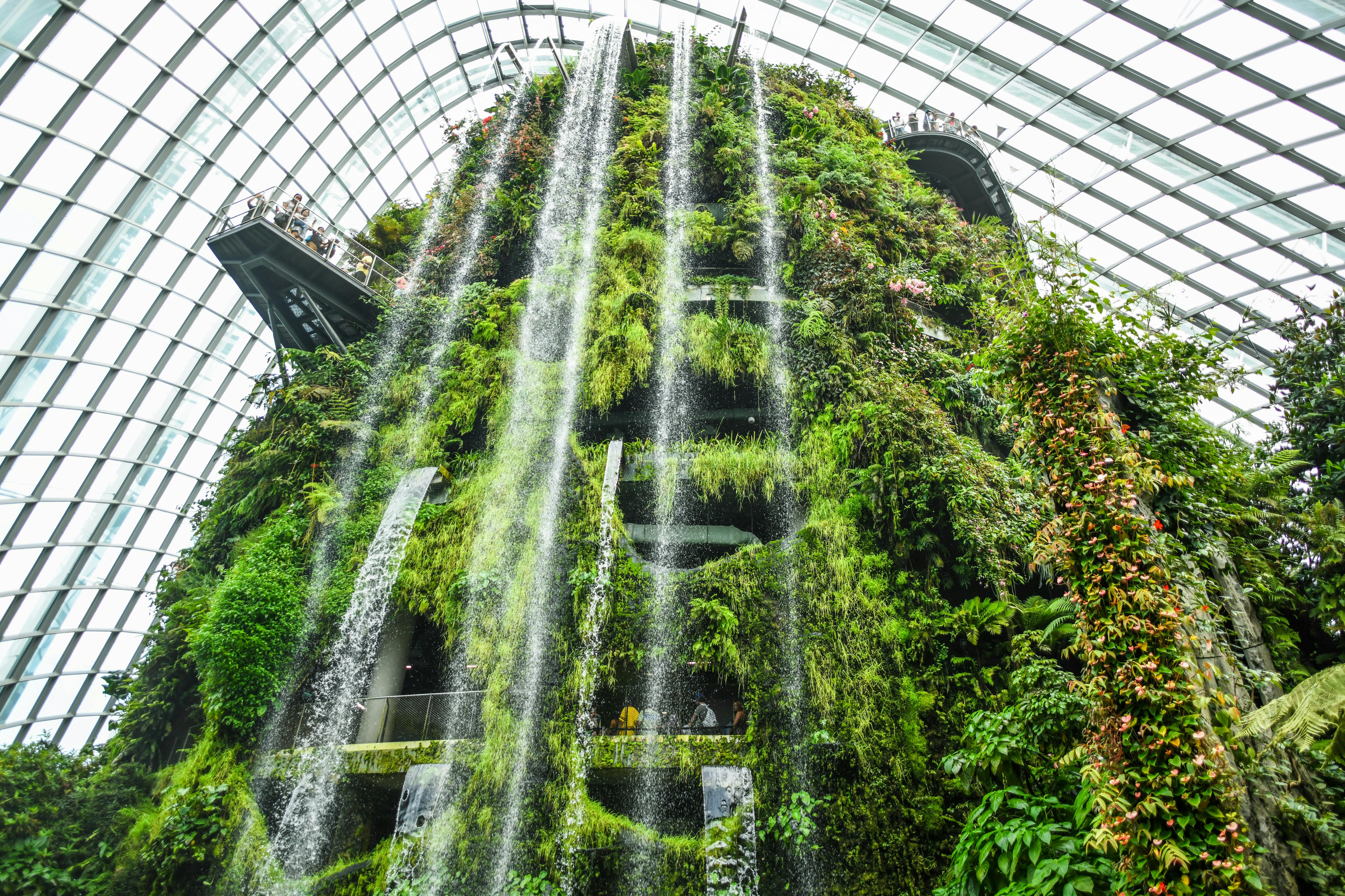 Botanic gardens and waterfall inside glass building by Bao Menglong