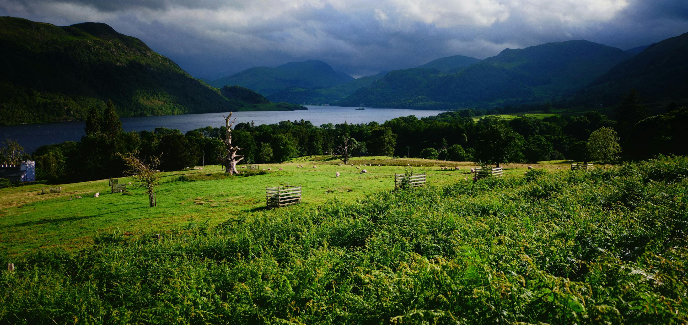 View of a lake from a field in Lake District