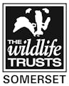 Somerset wildlife trust logo