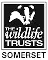 Somerset wildlife trust logo
